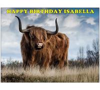 PREMIUM HIGHLAND COW A4 FARM ANIMALS EDIBLE ICING RECTANGLE CAKE TOPPER D2