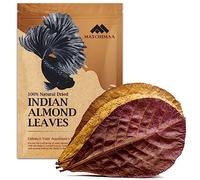 Premium Indian Almond Leave. Aquarium Decorations Size 6-9" Pack 50g(20-25 Leaves). Catappa Leaves Rich in Tannin. Superb to be Health Better, Vitality, Succesful Breeding! of Shrimp & Betta Fish Tank