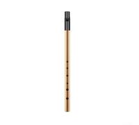 Premium Irish Whistle Flute, C/D Keys, Metal Construction, Excellent Tone (Gold D Key)