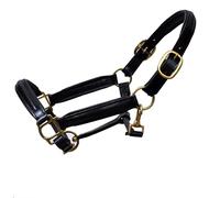 Premium Leather Horse Black Headcollar Halter With Fully Raised And Padded Adjustable with Brass Fittings (Cob)