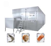 Premium Low-Temp Fluidized Bed Freezing Machine, Quick Freezer | Freezing Equipment for Organic Berries, Small Shrimp, Mushroom Dices and Fruit Raw Material Factory