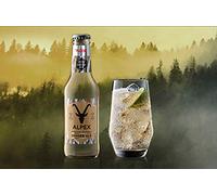 Premium Natural Ginger Ale 200 ml x 6 - Plose