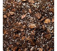 Premium Orchid Potting Mix Enriched With Nutrients (1L)