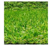 Premium Outdoor Artificial Grass Mat Weatherproof Turf for Pets Self Draining System for Garden Balcony Terrace & Conserva (1x15m 3x49ft)