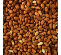Premium Peanuts in Whole for Wild Birds 1L Tub, High Energy, No-Mess Bird Feed- All Life Stages