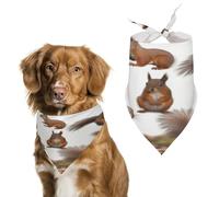 Premium Pet Scarf, Cute Squirrels Print Soft & Breathable Triangle Bandana for Dogs & Cats, Perfect for Daily Wear Or Special Occasions