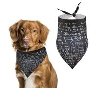 Premium Pet Scarf, Math Formula Print Soft & Breathable Triangle Bandana for Dogs & Cats, Perfect for Daily Wear Or Special Occasions
