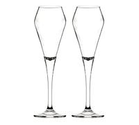 Premium Plastic Champagne Flutes - Polycarbonate Plastic (Pack of 2)
