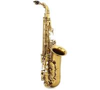 Premium Quality BetterSax Student Alto Saxophone - Dark Gold Lacquer - High F# Key - Comes with Mouthpiece, Neckstrap, and Case - Ideal for Beginners and Professionals