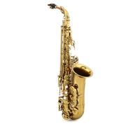 Premium Quality BetterSax Student Alto Saxophone - Dark Gold Lacquer - High F# Key - Comes with Mouthpiece, Neckstrap, and Case - Ideal for Beginners and Professionals