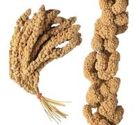 Premium Quality Large 10 inch Millet Spray for Birds - High Energy, Budgie Millet (1000g)