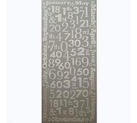 Premium Quality Number Stickers, Self Adhesive 0-9 Age Year Outline Stickers for Birthday Card Decoration (Numbers and Months Silver)