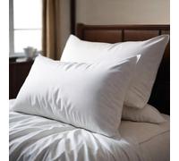 Premium Queen Pillowcases 2 Pack, 100% Cotton, White Standard, 600 Thread Count, Soft Breathable Skin-Friendly Pillow Case Covers