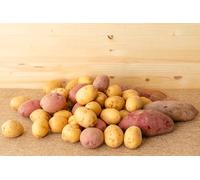 Premium Roasting Potatoes, Mixed Varieties from Kent and France (2.5KG box of Roasting Potatoes)
