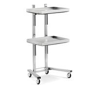 Premium Rolling Salon Trolley Cart - 2-Tier Stainless Steel Tool rage on Wheels Black & Silver Ideal for ty Treatments and Salon Services,Gold