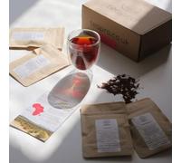Premium Rooibos Tea Gift Set | 3 Rooibos + 1 Honeybush from South Africa with Glass Infuser & "teapro" Educational Booklet | Unique Wellness Gift for Tea Lovers