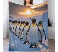 Premium Sherpa Emperor Penguin Throw Blanket 3D Antarctic Animals Design Super Soft Cozy Fleece Blankets 40x50inch(100x130cm), Thick Plush Fuzzy Fluffy Lightweight Warm Throw for Couch,Bed,Sofa,Chair