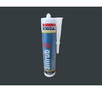 Premium Silicone Mastic Sealant RAL 7016 Anthracite Grey