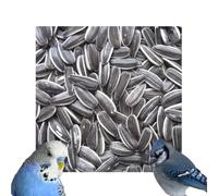 Premium Striped Sunflower Seeds High Oils & Vitamins Parakeet Wild Garden Bird Parrot Seed (10kg)