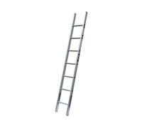 Premium Trade Single-Section Ladder En131-2 Certified Lyte