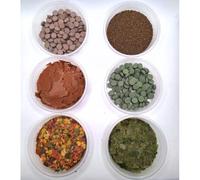Premium Tropical Fish Food Pack of 6- Tropical Flake, Brine Shrimp Flake, Vegetable Flake, Fish Treats Stick on, Tropical Mini Granules 300g Mix Community Fish/Snail/Shrimp
