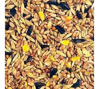 Premium Wild Bird Feed Mix with Sunflower Seeds, Corn and Mixed Grains