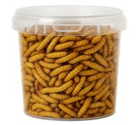 Premium Wild Bird Food 1L Tub (1L Tub, Calci Worms)
