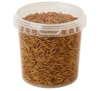 Premium Wild Bird Food 1L Tub (1L Tub, Dried Mealworms)