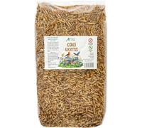 Premium Wild Bird Food 5L Refill, (5L Bag, Calci Worms)
