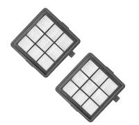 PreMotor Filter, For Bissell Hard Floor Expert Canister Vacuum Series, 1154 1161 Spare Parts Replacement Pleated Model No 1602084 (Color : B)