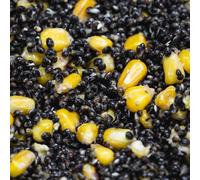 Prepared Hemp & Maize for Carp Fishing - 10KG - FREEZER BAIT