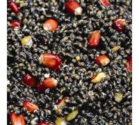 Prepared Hemp & Red Maize for Carp Fishing - 5KG - FREEZER BAIT