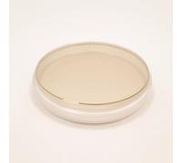 Prepoured Agar Plate Petri Dishes Growing Kit Science Projects Supplies Culture Dishes for School Science Seedling 9CM (1)