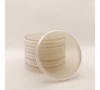 Prepoured Malt Extract Yeast Agar (MEYA) Plate Petri Dishes Bacteria Mushroom Growing Kit Science Projects Culture Dishes for School Science Seedling (6)