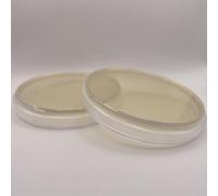 Prepoured Malt Extract Yeast Agar (MEYA) Plate Petri Dishes Bacteria Mushroom Growing Kit Science Projects Culture Dishes for School Science Seedling