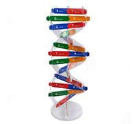 Preschool Educational Learning Biological Science Kits 3D DIY DNA Model Genetic Structure for Children to Foster Curiosity and Innovation (Multicolor, One Size)