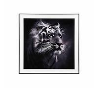Present Time - Black and White Tiger Art Photo Frame
