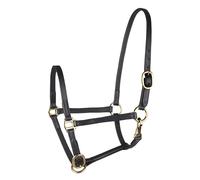 Presentation bridle for Shetland in leather Star