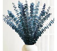 Preserved Dried Eucalyptus Stems 16-17 inch Natural Eucalyptus Plants Blue Green Live Eucalyptus Plants Real Eucalyptus Branches for Shower Spa Blue Dried Flowers for Filling
