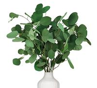 Preserved Dried Eucalyptus Stems, 7-10 Pcs 100% Natural Real Silver Dollar Leaves for Vase Filler, 15-17'' Fresh Eucalyptus Plant Branches for Wedding Home Greenery Décor (3.6oz)
