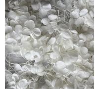 Preserved Dried Hydrangea - 10g of Hydrangea Flower Petals, UK Florist, for Wedding Decor, DIY, Handmade, Party Office Home Decor (White)