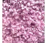 Preserved Dried Hydrangea - 10g of Hydrangea Flower Petals, UK Florist, for Wedding Decor, DIY, Handmade, Party Office Home Decor (Lilac)