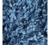 Preserved Dried Hydrangea - 10g of Hydrangea Flower Petals, UK Florist, for Wedding Decor, DIY, Handmade, Party Office Home Decor (Blue)