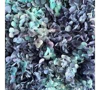 Preserved Dried Hydrangea - 10g of Hydrangea Flower Petals, UK Florist, for Wedding Decor, Handmade, DIY, Party Office Home Decor (Dark Blue Mix)