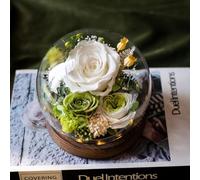 Preserved Eternal Flowers, Real Flowers Gifts for Women, Forever Love Gifts for Mum Wife Girlfriend, Birthday for Her, Christmas Wedding Mother's Day Present (Rose - White)