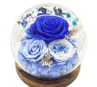 Preserved Flower Box with Spherical Glass Dome Built-in LED Strip Everlasting Arrangement Thoughtful Birthday Valentine s Day Mother