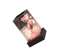 Preserved Forever Flower Artificial Flower Rose in Acrylic, B