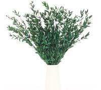 Preserved Real Eucalyptus Leaves Branches, 7-12 Pcs Fine Leaf Eucalyptus Greenery for Home Decor - Vase Filler, Wedding Centerpieces, Floral Arrangements, Crafting (14''-17'', Green)