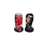 Preserved Rose Bouquet in Glass Dome with LED Lights, Red and Black Eternal Flowers with Black Base, Valentine's Day Birthday Gift