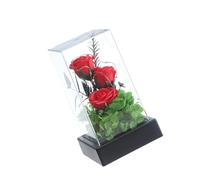 Preserved Rose Forever Flower with Led Light Artificial, Red
